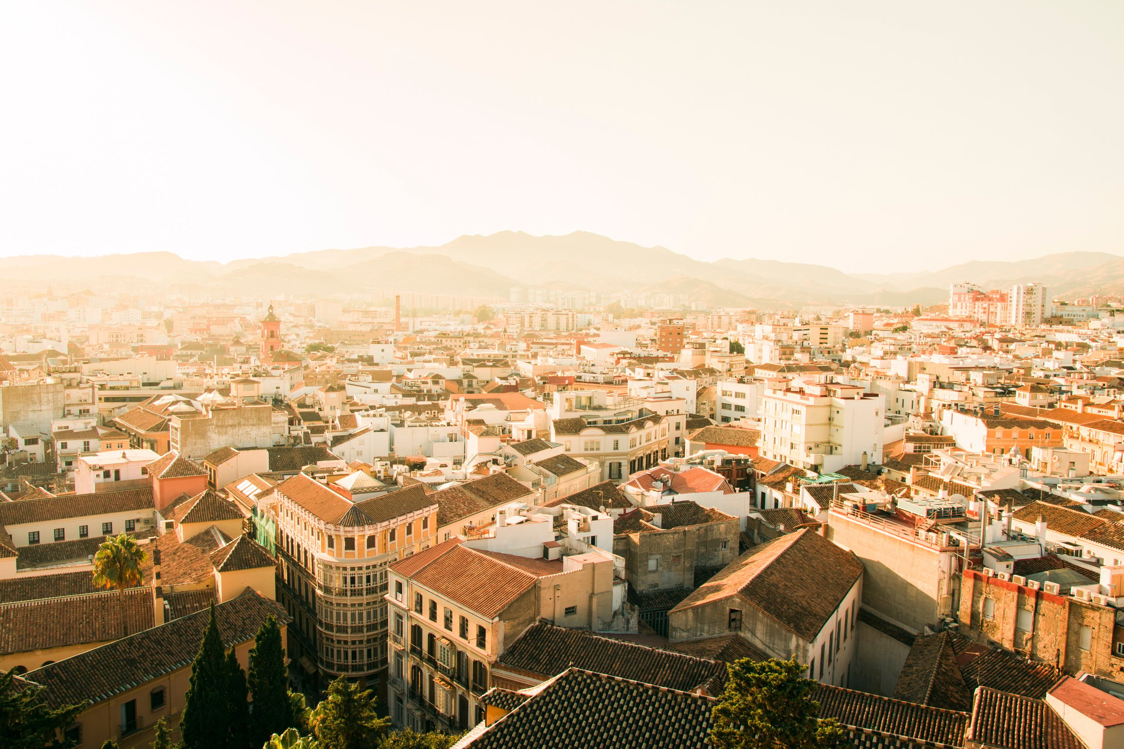 City Buildings during Golden Hour